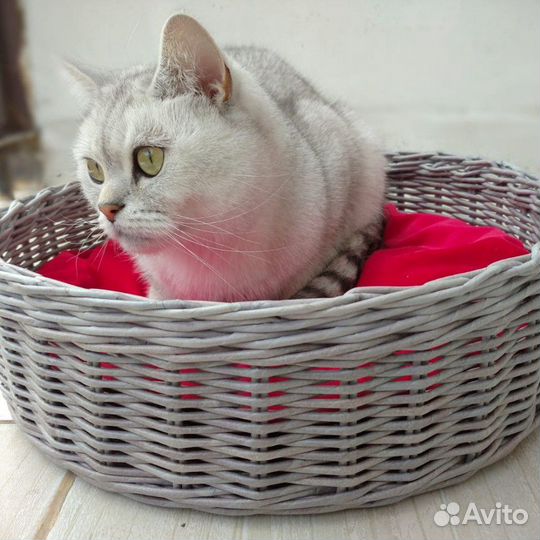 Корзинки для кошек и собак