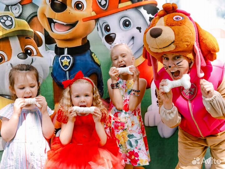 Аниматор, Фотозоны, Воздушные шары