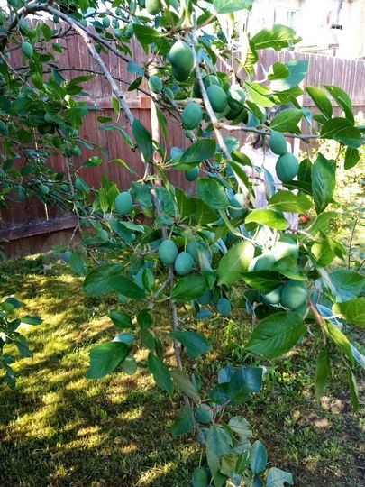 Дом 83 м² на участке 10 сот.