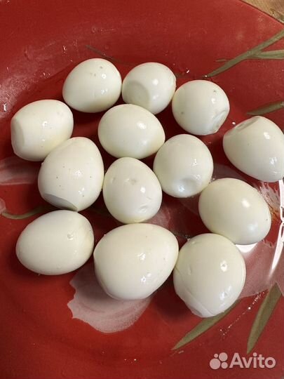 Яйца перепелиные домашние