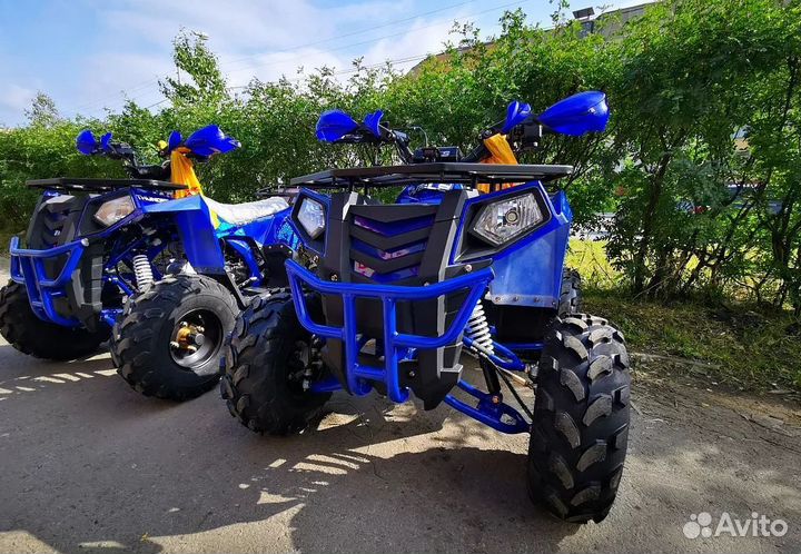 Квадроцикл wels thunder EVO sport