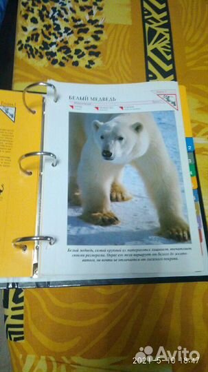 Книга Мир животных