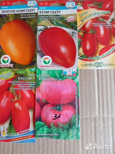 Рассада томатов, перцев и баклажан