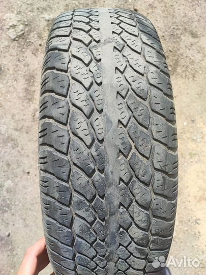 Nokian Tyres Nordman SX2 205/70 R15