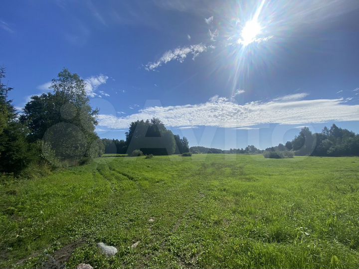 Участок 1,8 га (СНТ, ДНП)