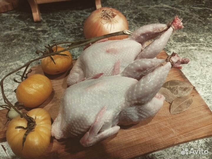 Мясо перепела