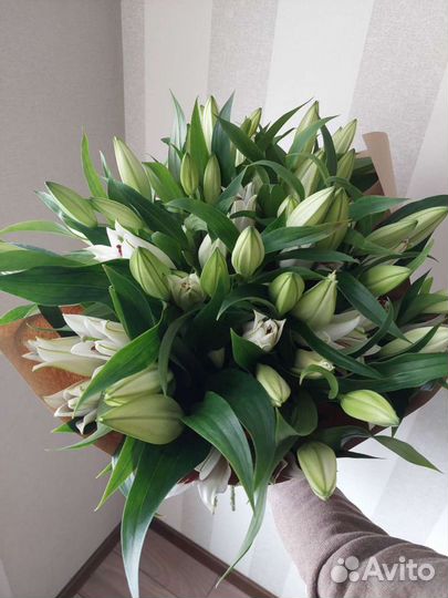 Лилии, доставка цветов