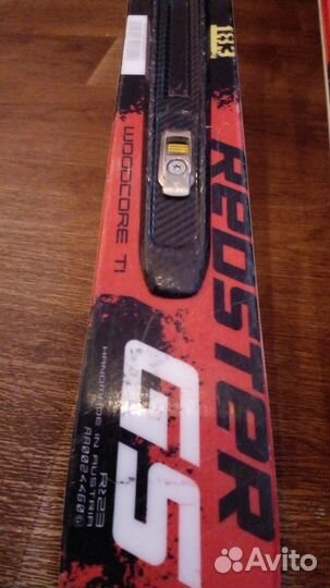 Горные лыжи