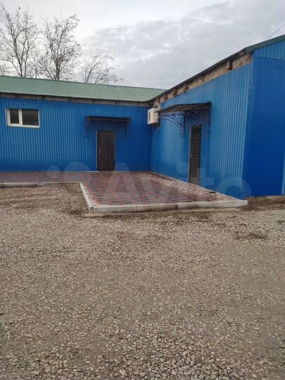 Торговая площадь, 560 м²