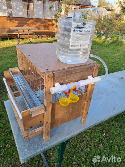 Клетка для 5 шт перепелов