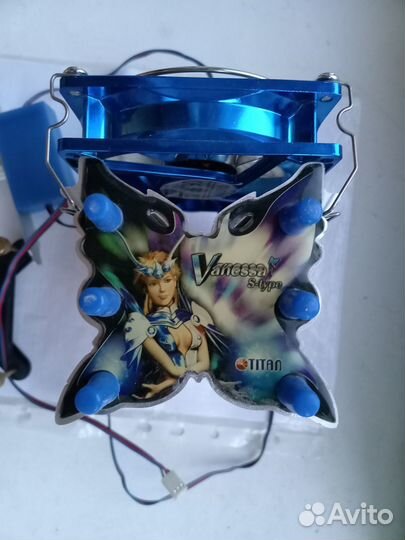 Titan Vanessa S-type