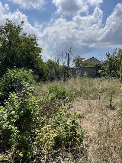 Участок 4,8 сот. (СНТ, ДНП)