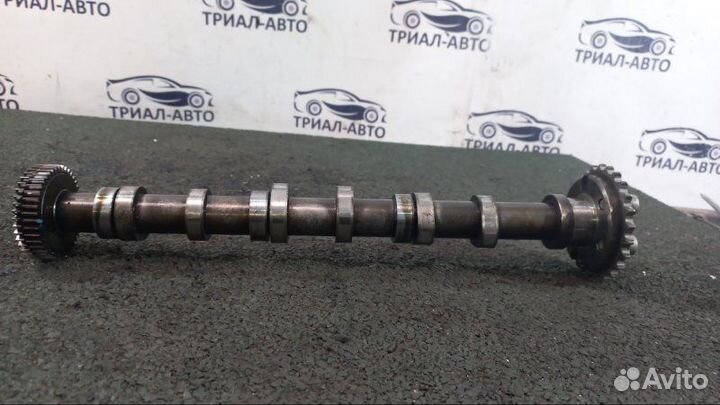 Распредвал BUG Audi Q7, Ауди Ку7