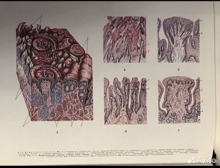 Большая медицинская энциклопедия 29 томов