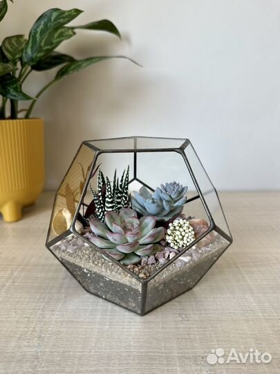 Флорариум в наличии