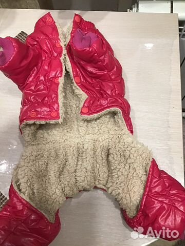 Одежда для маленьких собак