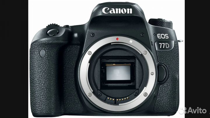 Canon 77d body