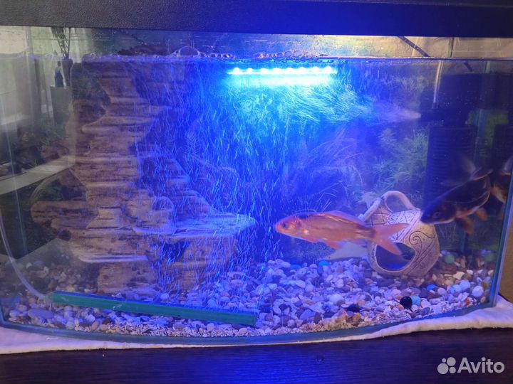 Аквариум с крышкой