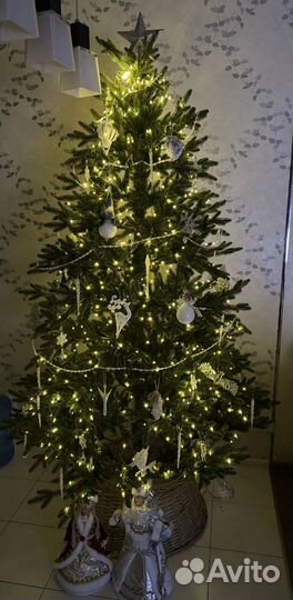 Царь елка Фаворит 220см