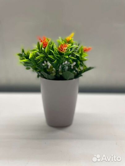 Дендробиум