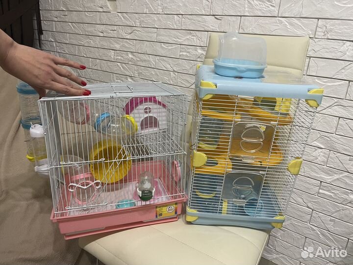 Хомяк с клеткой