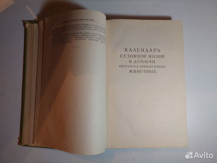 Календарь охоты под ред. Г. П. Дементьева - 1953 г