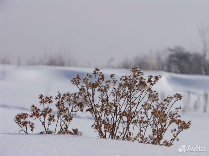 Зеркальный фотоаппарат samsung