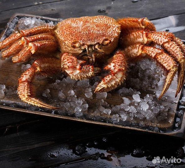Рыба и морепродукты