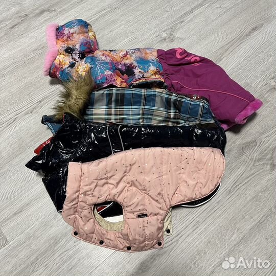 Одежда для средних пород