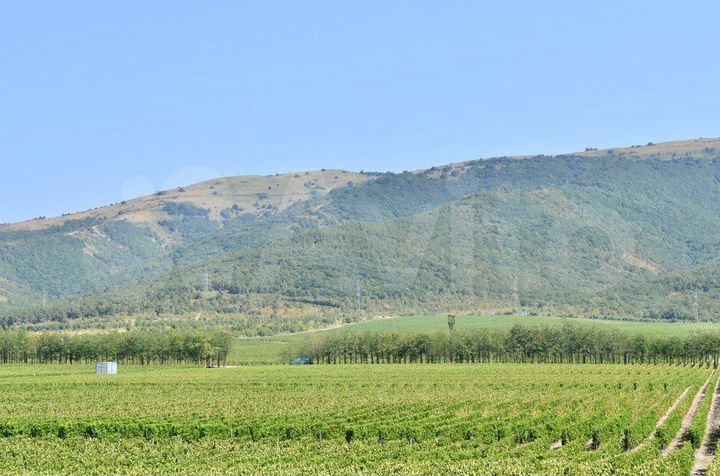 Участок 4,1 сот. (СНТ, ДНП)