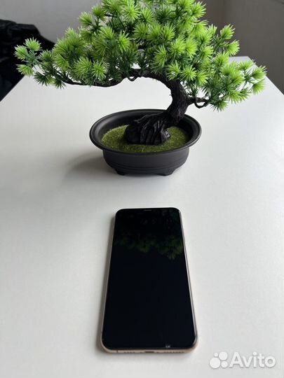 iPhone XS MAX