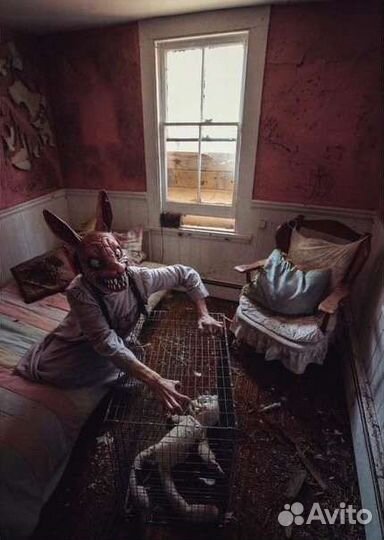 Интересные инвестиции в сфере развлечений