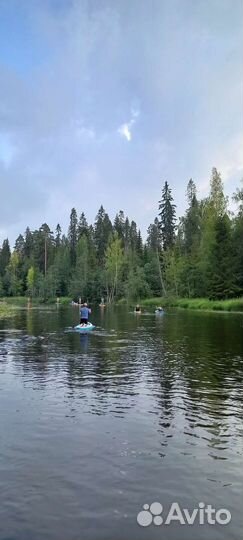 Сапборд, прокат река Оредеж