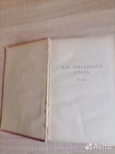 Островский. Как закалялась сталь, Рожденные бурей