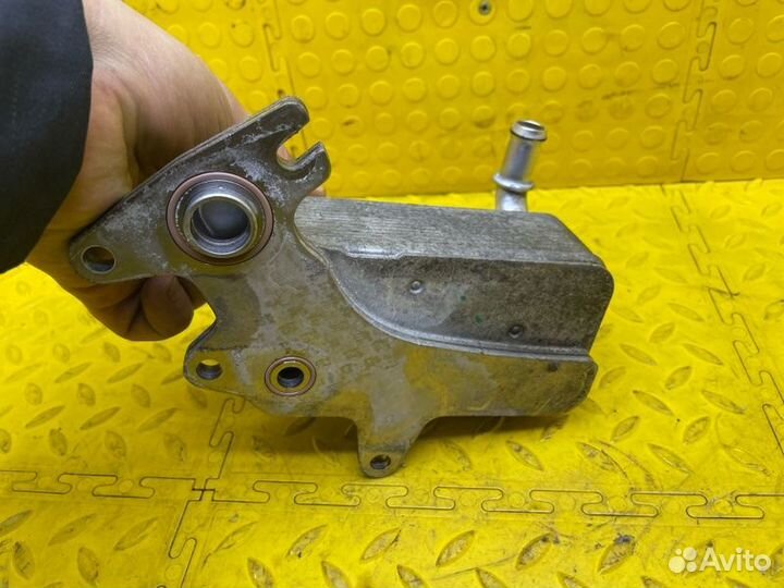 Б/У Радиатор Масляный - В хорошем состоянииn