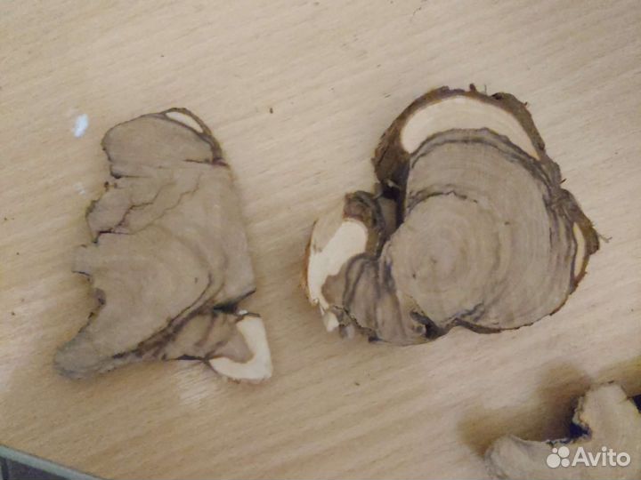 Спилы можжевельника