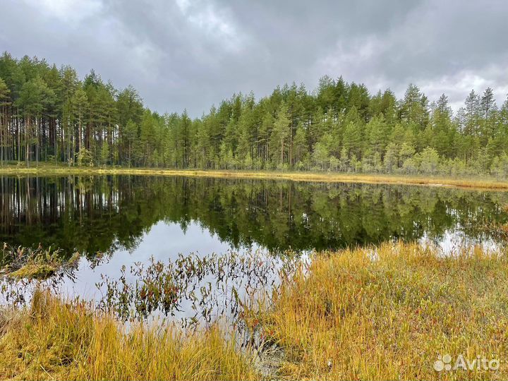 Индивидуальные экскурсии по Карелии