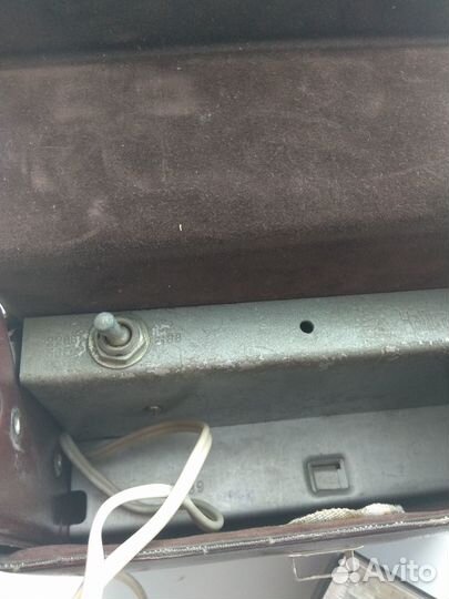 Фотовспышка чайка