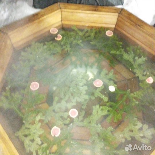 Сдам баню на дровах