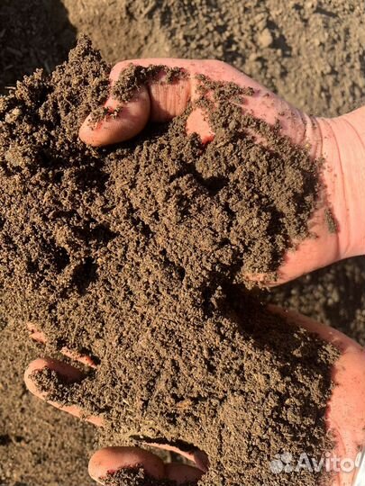 Перегной коровьего навоза в мешках (25 литров)