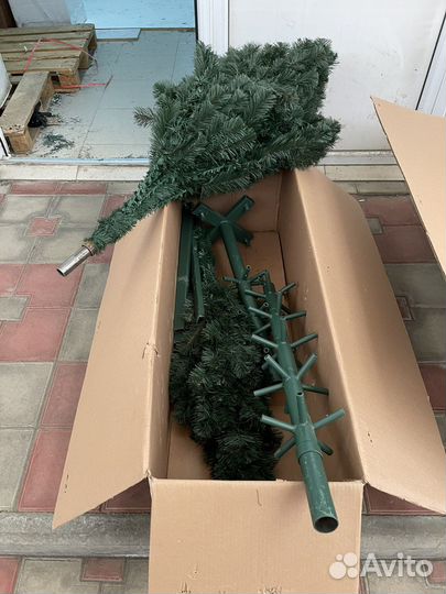 Елка Высотная