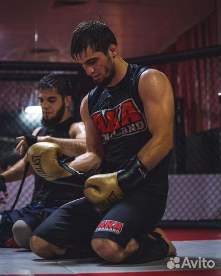 Ака тайланд форма