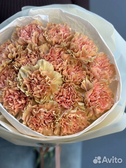 Гвоздики. Букет цветов гвоздики