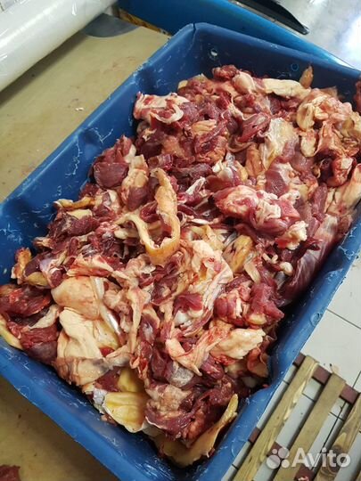 Обрезь говяжья с туш, обрезь говяжья с туш постная