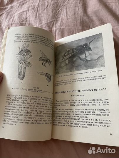 В мире пчел, бронь