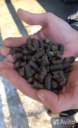 Жмых рапсовый, протеин 28- 29