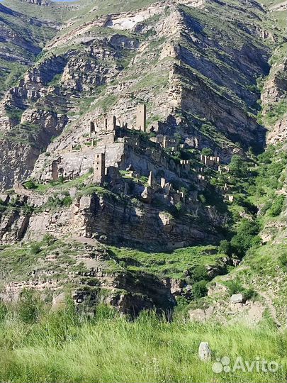 Гид-водитель. Индивидуальные туристические поездки