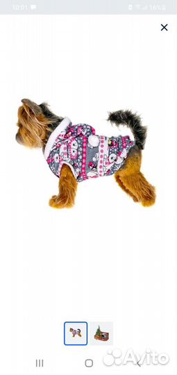 Одежда для маленьких собак