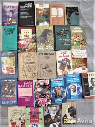 Е. Картур. Снежный барс. 2010 год