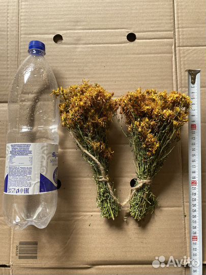 Донник, мята, полынь и другие душистые травы